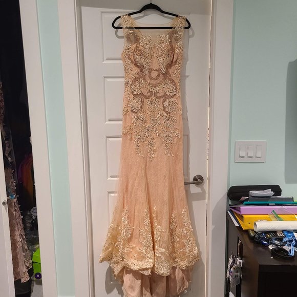 Stunning Peach Lace Gown with Train - Picture 1 of 12